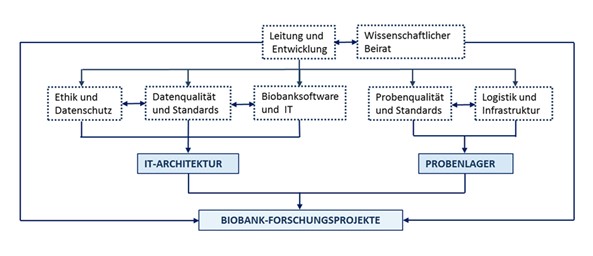 Kernelemente der IPA-Biobank